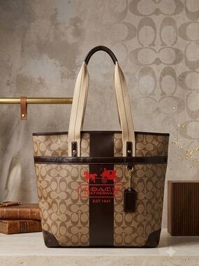 Coach Heritage Tattersall Stripe Signature tote bag.